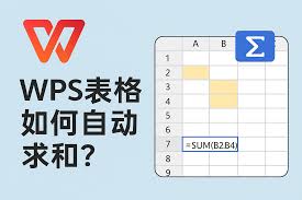 WPS表格自动求和与统计技巧，提升办公效率？